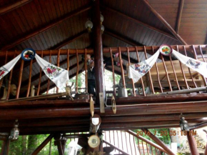  Cabana Alexandra  Борса